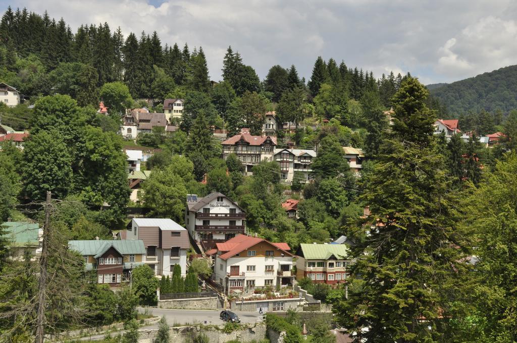 La Monitori Hotel Sinaia Bilik gambar