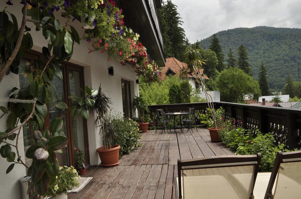 La Monitori Hotel Sinaia Bilik gambar